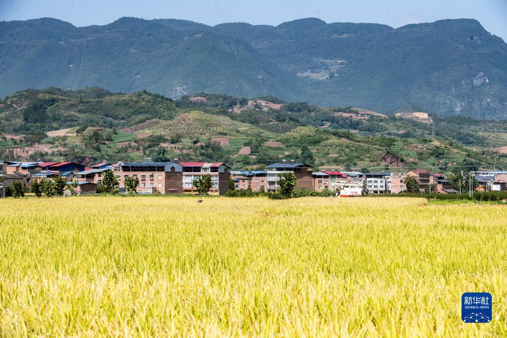 巴黎人游戏官网
